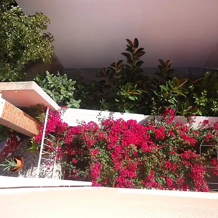 Aviz Figueira da Foz